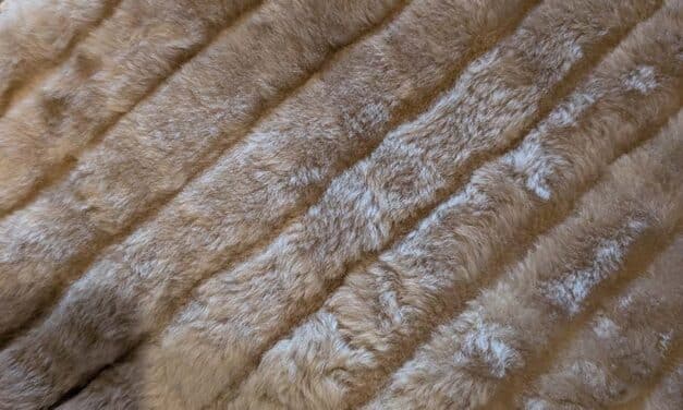 Fendi – Vestiaries Collective Fake Fur Versus Real Fendi Fur