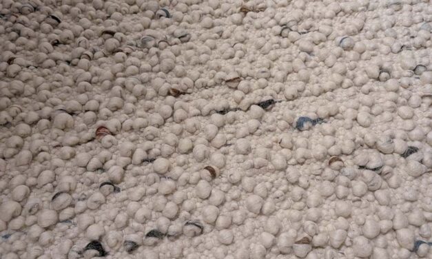 Cozy Up Your Tuscan Villa: IKEA Wool Rugs Tips for a Warmer Home