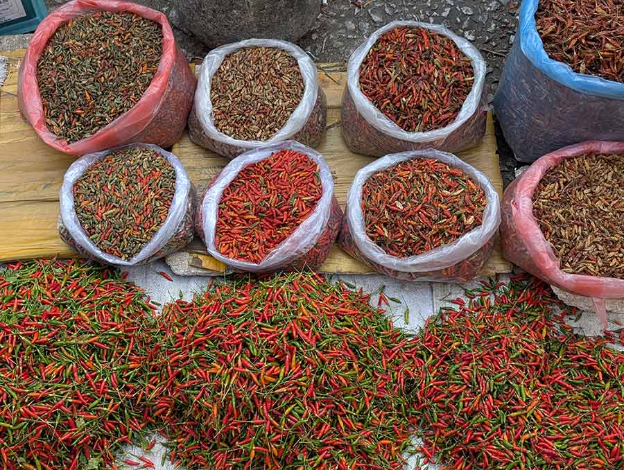 crocs-mega-crush-gracie-opulanza-vietnam-silk-dress