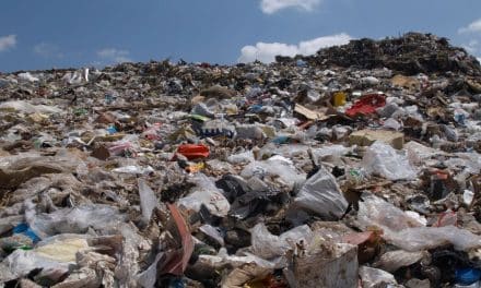 Why Your Recycling Could End Up On A Billion-Dollar Black Market