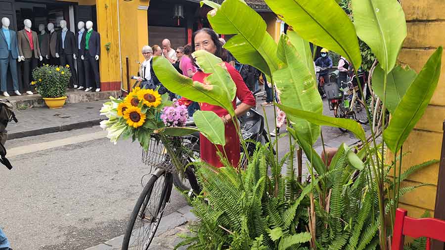 sunflower-vietnam-red