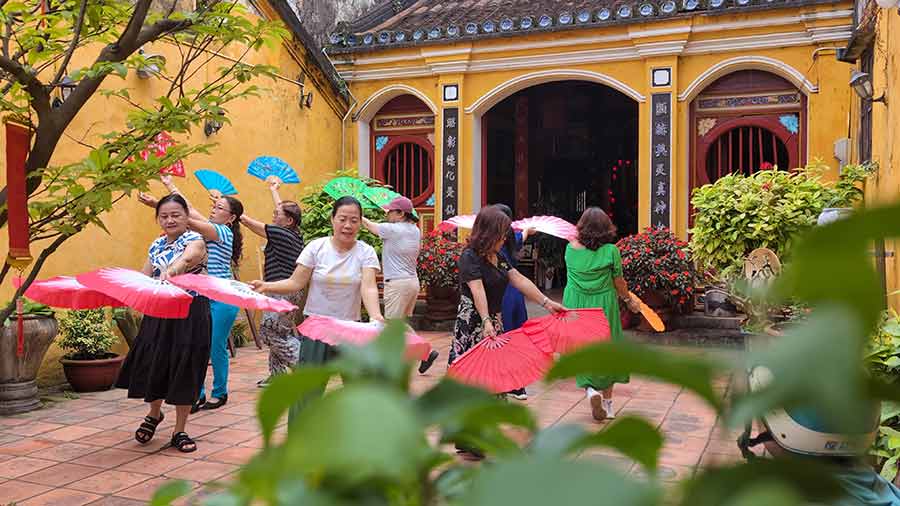 sunflower-vietnam-red