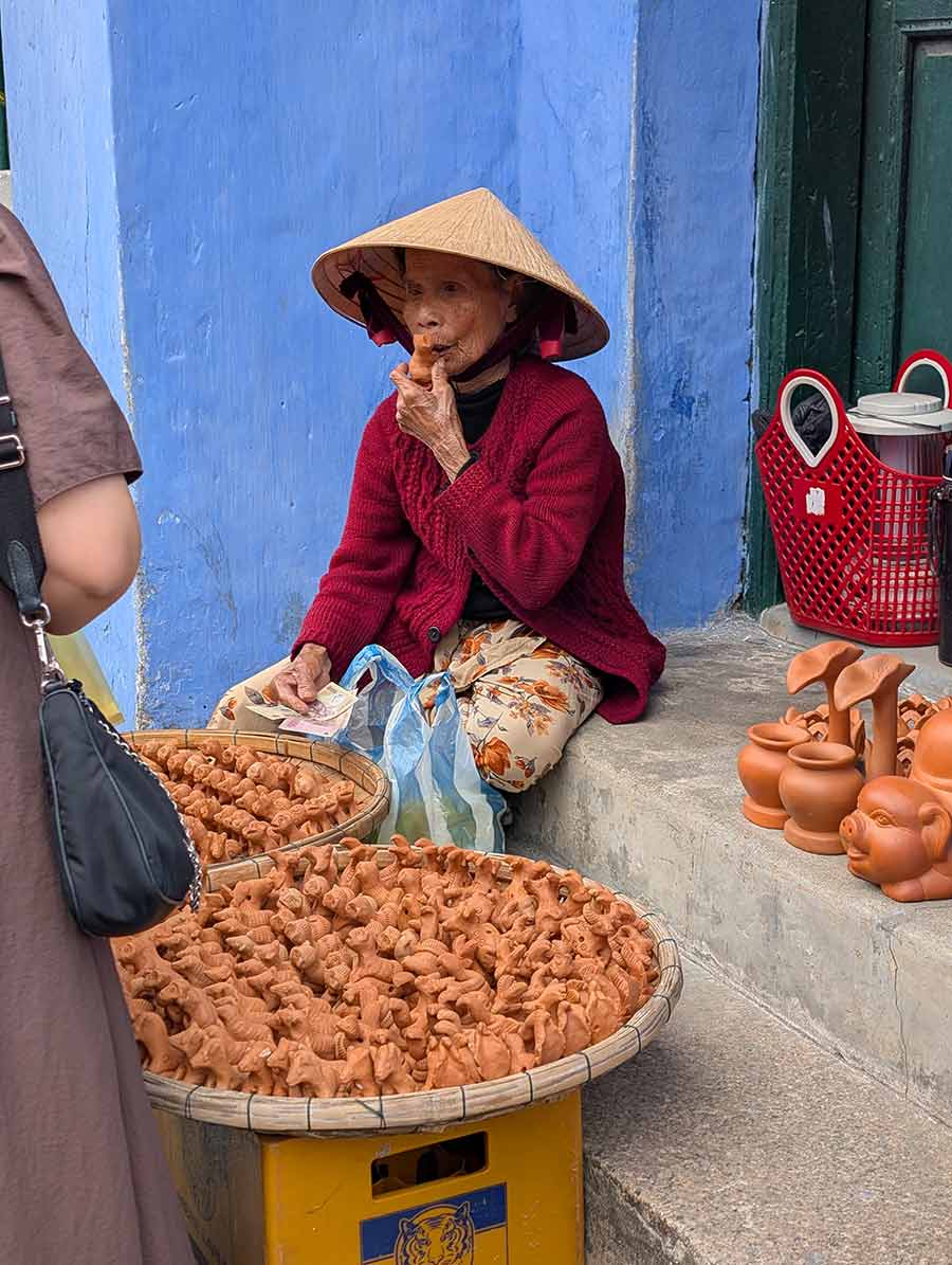 sunflower-vietnam-red