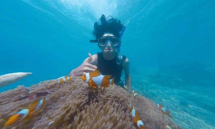 Transform Your Vacation with an Underwater Therapy Adventure