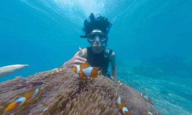 Transform Your Vacation with an Underwater Therapy Adventure