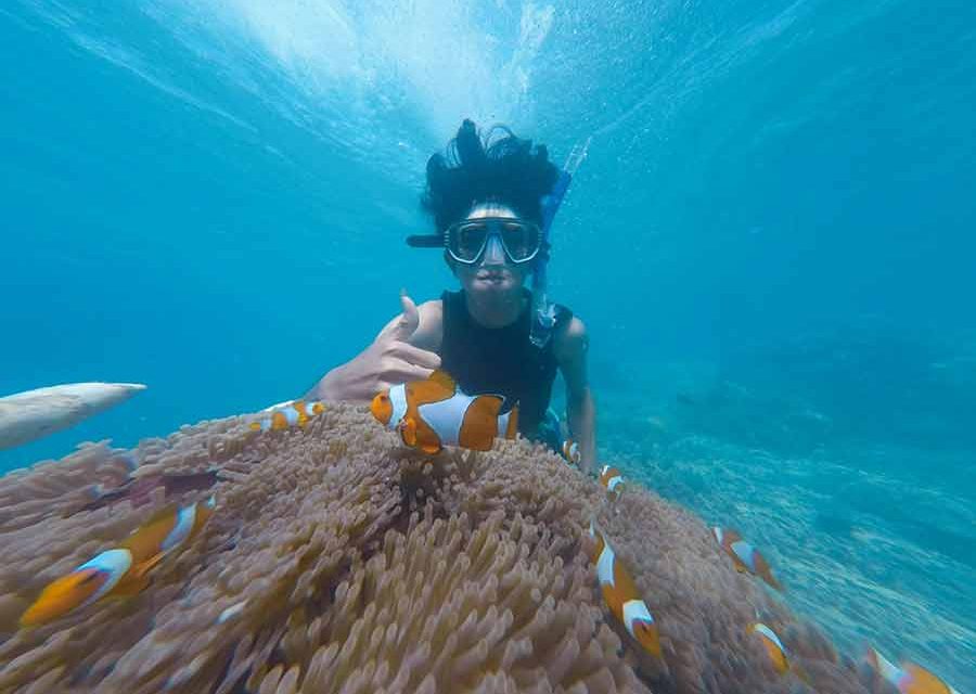 Transform Your Vacation with an Underwater Therapy Adventure