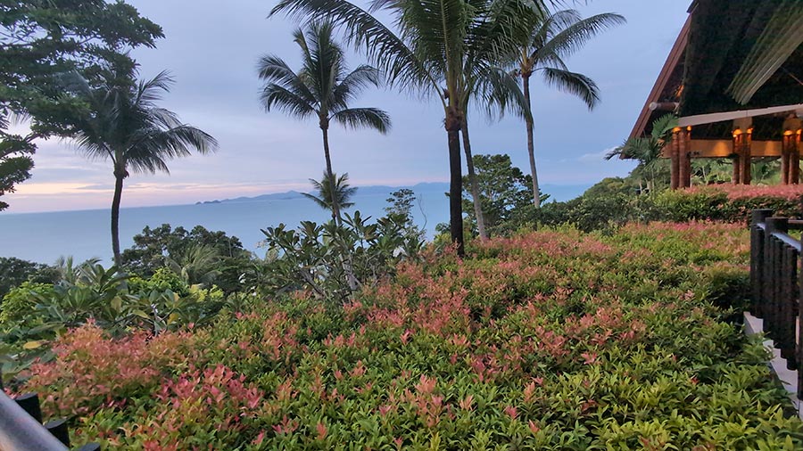 The White Lotus Experience - Fisherman&rsquo;s Night at Four Seasons Koh Samui