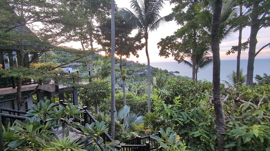 The White Lotus Experience - Fisherman&rsquo;s Night at Four Seasons Koh Samui