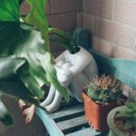 How To Become A Cleaner Household For The Environment