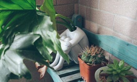 How To Become A Cleaner Household For The Environment