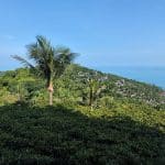 The White Lotus Effect Fuels Koh Samui Retail Boom, Defying National Downturn