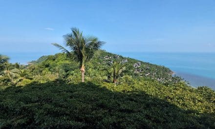 The White Lotus Effect Fuels Koh Samui Retail Boom, Defying National Downturn