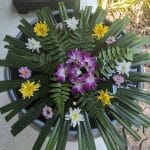 Four Seasons Koh Samui Wellness – A Family Escape Into Healing Touch