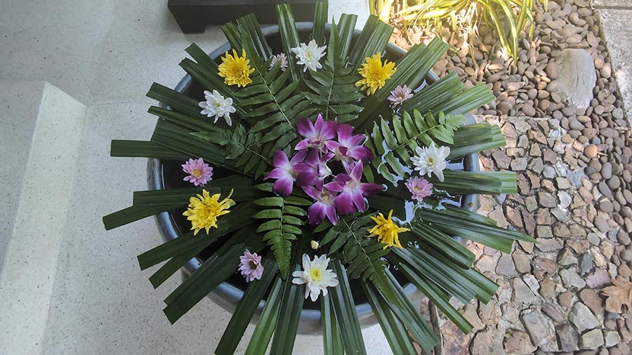 Four Seasons Koh Samui Wellness – A Family Escape Into Healing Touch