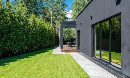 Things To Think About When You’re Looking At Lawn Shape