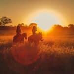 Choosing the Right Outfit for Your Equestrian Lifestyle