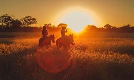 Choosing the Right Outfit for Your Equestrian Lifestyle