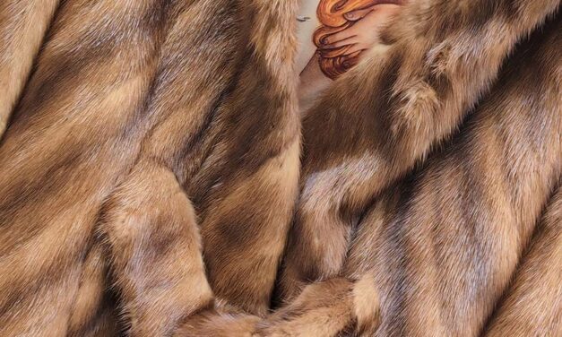 Fur – How to Style Light Modern Fur