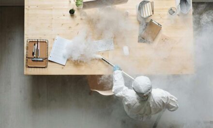 The New Status Symbol – Immaculate Spaces That Mean Business