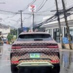Has Louis Vuitton Secretly Teamed Up With BYD?