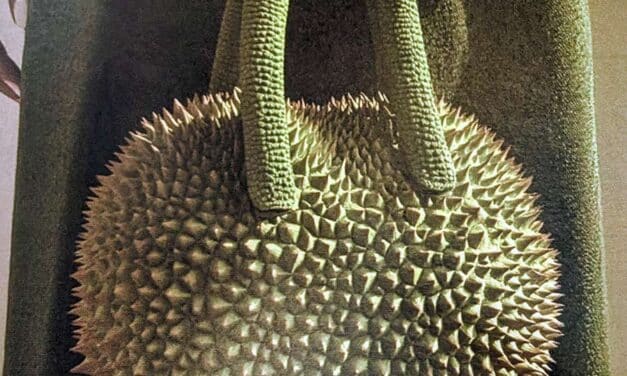 Why a Durian Artisan Bag Is the Boldest Souvenir You’ll Ever Wear