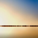 How New Horse Owners Can Set Themselves Up For Success