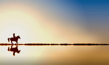 How New Horse Owners Can Set Themselves Up For Success