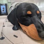 Dachshund Chic – How Dog Fashion Became the Fragrance Marketing Play for 2026