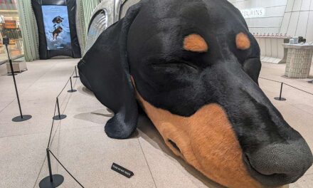 Dachshund Chic – How Dog Fashion Became the Fragrance Marketing Play for 2026