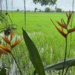 Stress Is Not Just Mental — It Lives in the Body