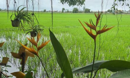 Stress Is Not Just Mental — It Lives in the Body