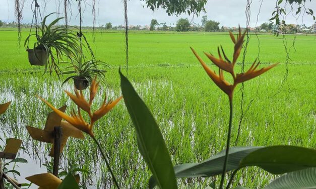 Stress Is Not Just Mental — It Lives in the Body