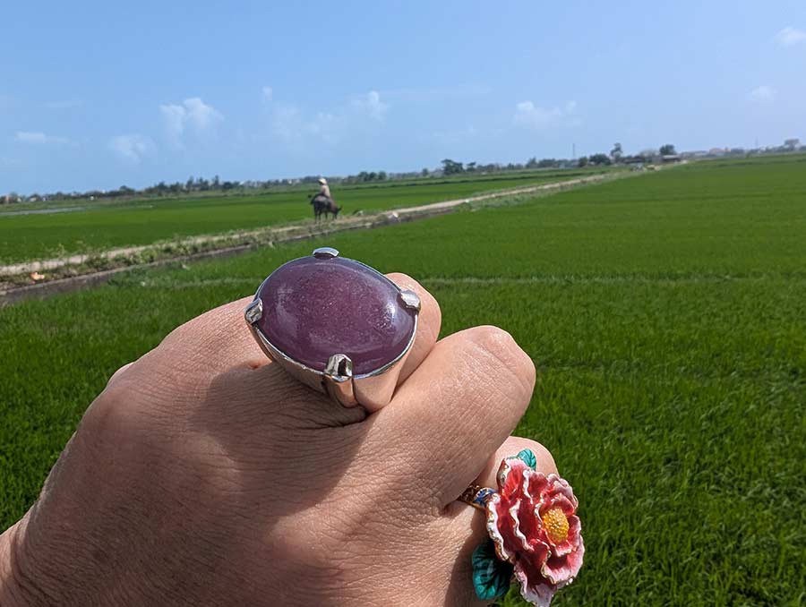 ruby stone gracie opulanza jpg rice fields