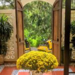 Why Wear Yellow in Vietnam — and How to Style It Without Looking Like a Banana