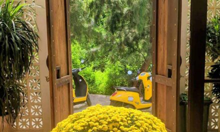 Why Wear Yellow in Vietnam — and How to Style It Without Looking Like a Banana