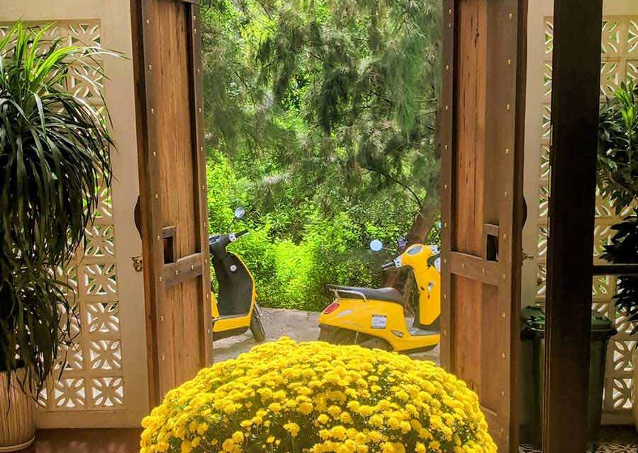 Why Wear Yellow in Vietnam — and How to Style It Without Looking Like a Banana