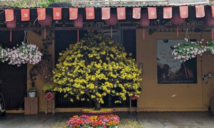 Why Visit Hoi An During Lunar New Year? A City in Bloom