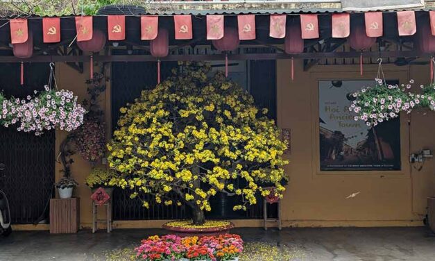 Why Visit Hoi An During Lunar New Year? A City in Bloom